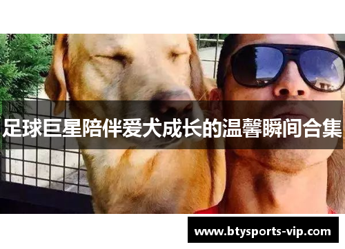 足球巨星陪伴爱犬成长的温馨瞬间合集